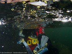 Hästholmen oktober 2008